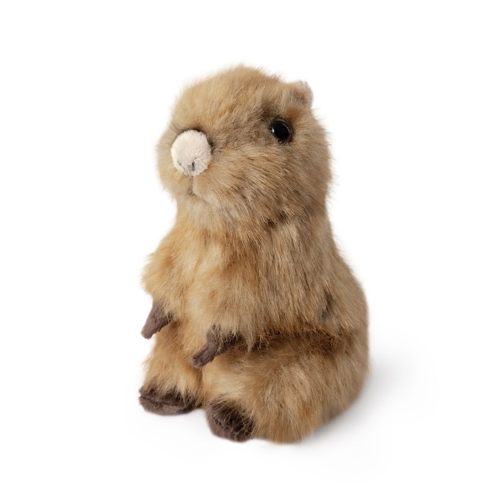 Capybara Pup Plush Stuffed Animal Toy (Sitting)