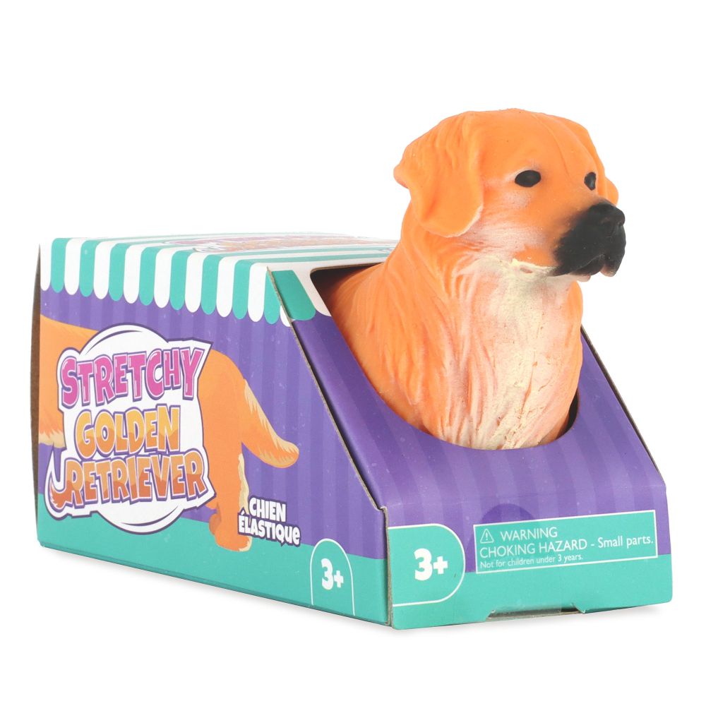 Stretchy Golden Retriever