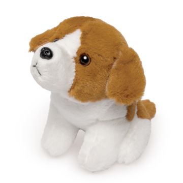 Hondenknuffel koala pluche eco met piep 22 cm