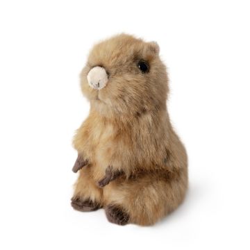 Squirrel Monkey Plush Stuffed Animal Toy - Keycraft